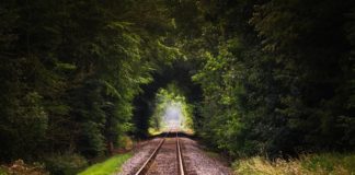 Green transportation will be supported by Erasmus + from 2020