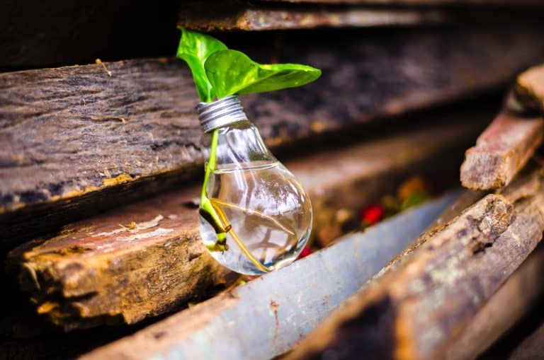 Call for project proposals under the Horizon 2020 Challenge 5 “Climate Action, Environment, Resource Efficiency and Raw Materials” Call for project proposals under the Horizon 2020 Challenge 5 “Climate Action, Environment, Resource Efficiency and Raw Materials”