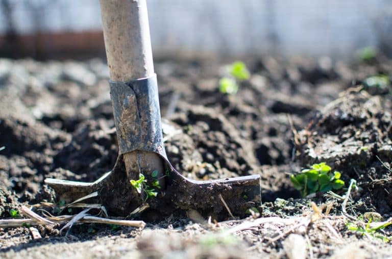 Create a more sustainable life with… PERMACULTURE! Create a more sustainable life with… PERMACULTURE!