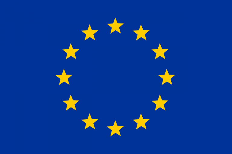 Call for Capacity Building in the field of Youth (ERASMUS YOUTH 2021)
