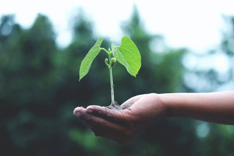 How To | Sustainable and Environmentally Friendly Projects How To | Sustainable and Environmentally Friendly Projects