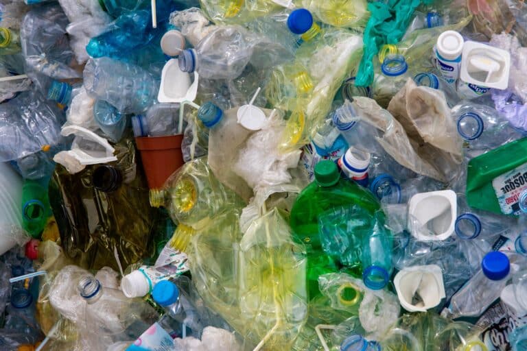 Plastic Pirates – Go Europe | Join the Fight Against Plastic Pollution