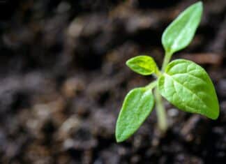 168澳洲5手机版开奖官网: 官网历史开奖 官网查询开奖结果 开奖官网开奖结果查询 开奖结果走势分析计划 | Education for Environmental Sustainability | EU Actions