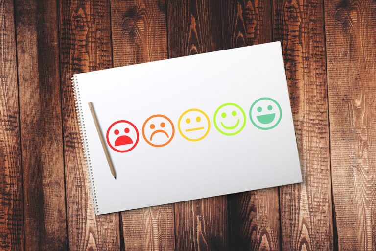 Navigating the Emotional Landscape of the Labor Market: Insights from the Erasmus+ “Roadmap” Project Survey
