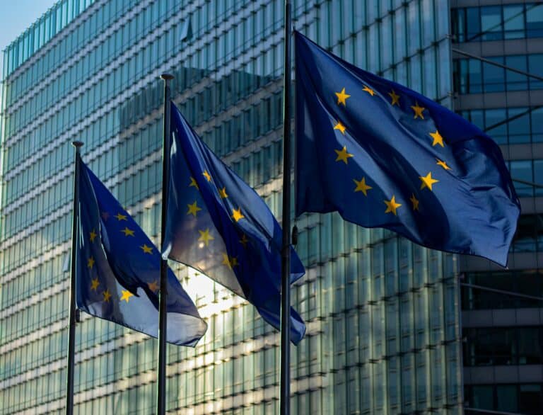 Call For Proposals 2024 | European Solidarity Corps
