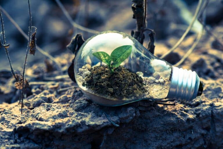 GreenCo Project | Fighting Digital Pollution