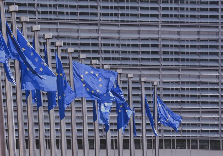 Empowering Youth | The Role of Youth Workers in the 2024 European Parliament Elections