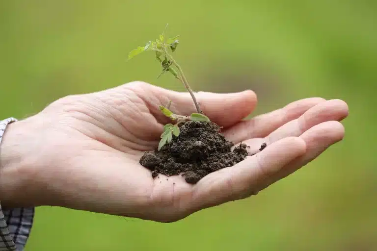 Ecological Future Diverse and Inclusive | Project Result