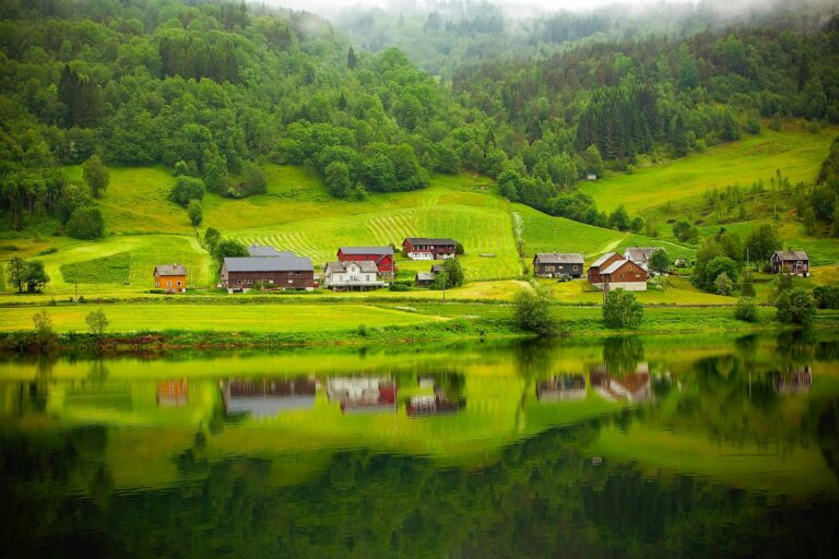 The Best is Yet to Come: Youth Shaping Rural Europe’s Future