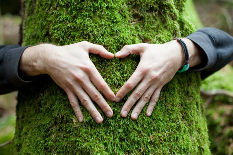 Nurturing Earth Spirit – Holistic Tools for Youth Inclusion, Creativity, and Well-being