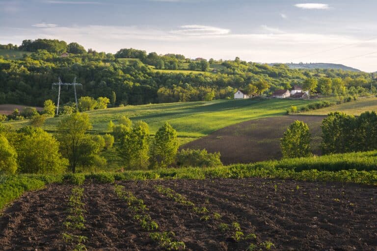 Foster Young Life in Rural Areas: Empowering Youth Work for a Sustainable and Inclusive Future