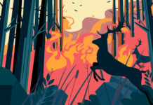 Before the Last Forest Is Fired: Strengthening Environmental Awareness Across Europe