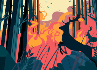 Before the Last Forest Is Fired: Strengthening Environmental Awareness Across Europe