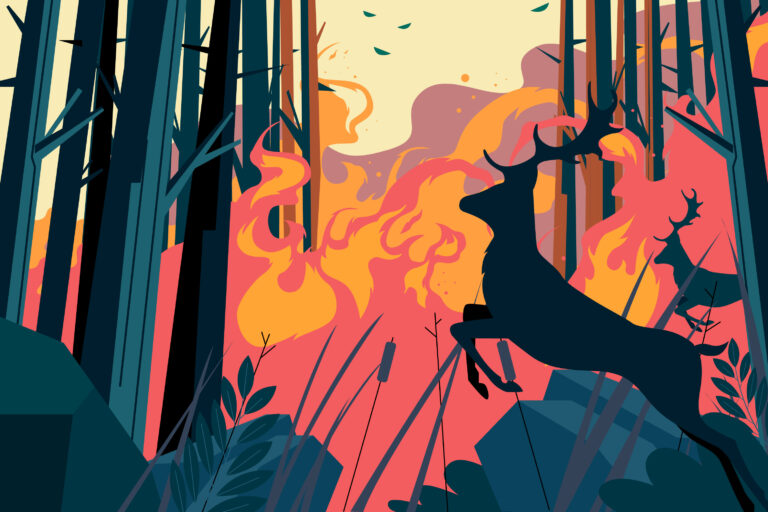 Before the Last Forest Is Fired: Strengthening Environmental Awareness Across Europe