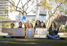 Nature’s Calling – Empowering Young People to Act for the Environment