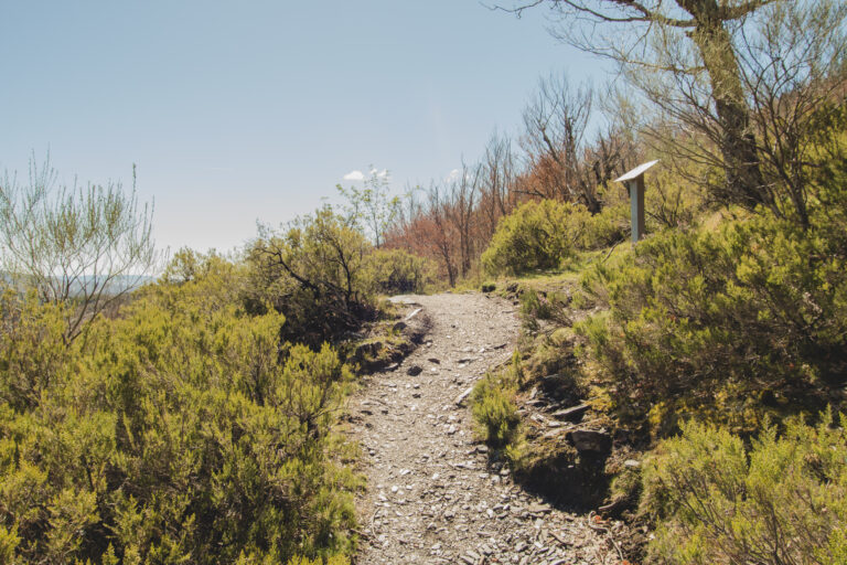 Pathways to Nature