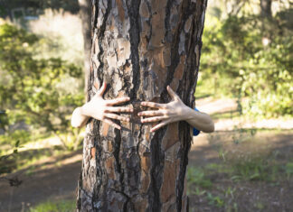 Powered by Nature: Supporting Mental Well-Being Through Nature and Inclusion
