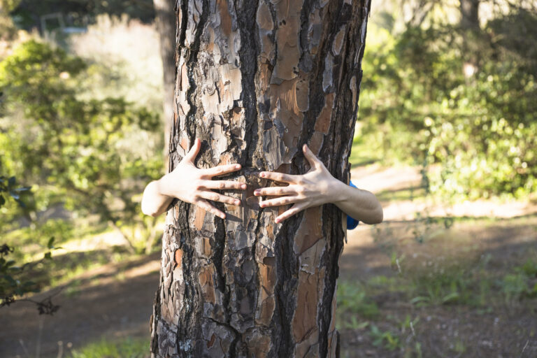 Powered by Nature: Supporting Mental Well-Being Through Nature and Inclusion